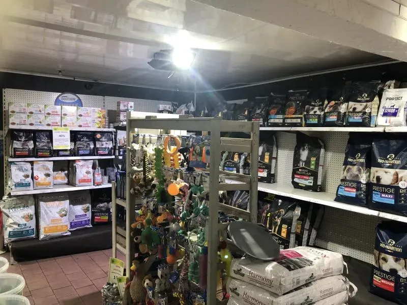 Alimentation animales et jouet